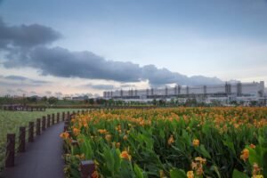 TCL ist ein „Macher”: Die Einbindung von ESG schafft positive Wirkung entlang der globalen Wertschöpfungskette